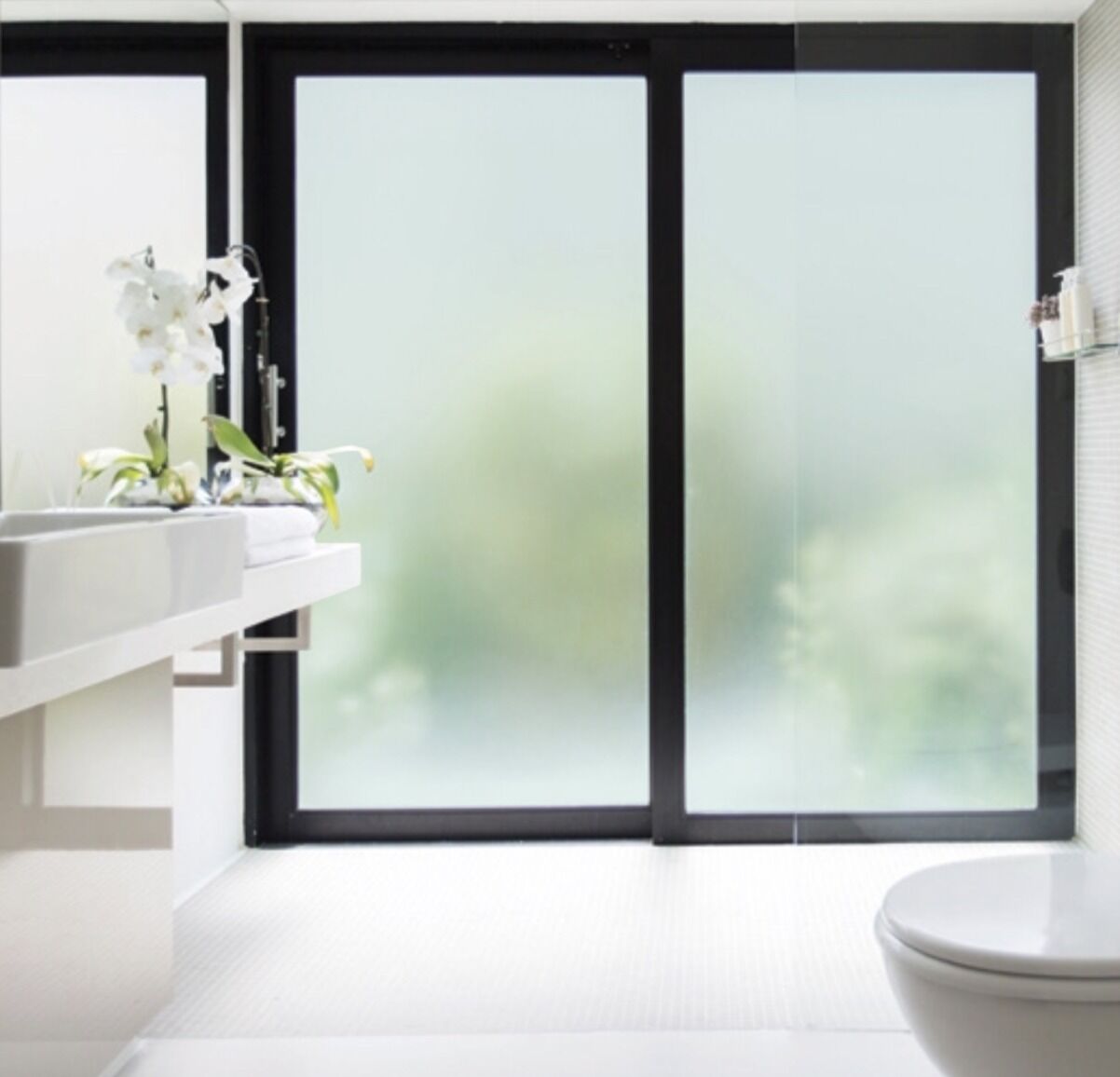 Frosted Glass Windows